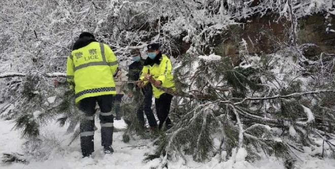 战疫群英谱王砚红巾帼之花绽芳华,战疫群英谱宁可一人累换得千家安
