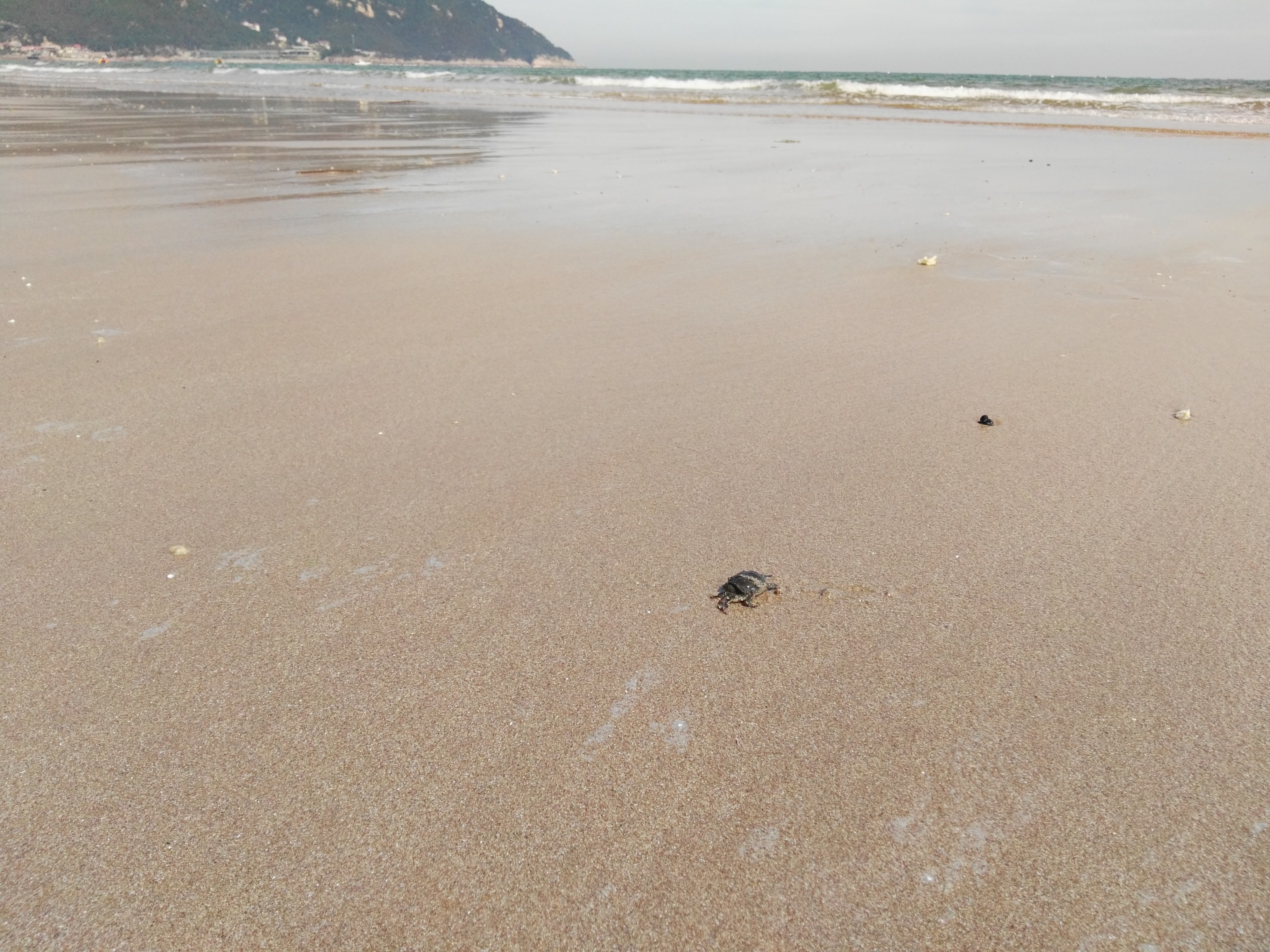 青岛最干净的海洋,青岛最美丽的海