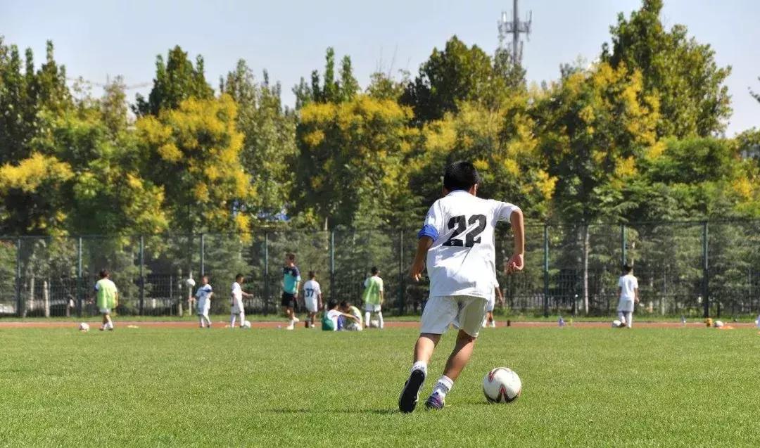 清华教授培养普通人,清华教授教育孩子方法