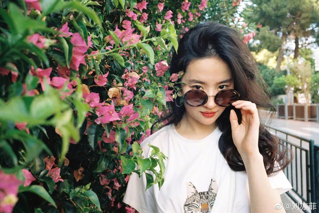 娜扎拍电视剧为什么都扑街了,娜扎即将拍的新剧