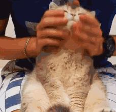 最好看的猫爪杯,猫爪杯好抽吗