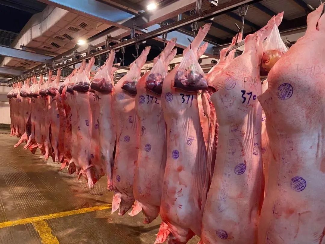 润恒城粮油市场招商,润恒城哈尔滨