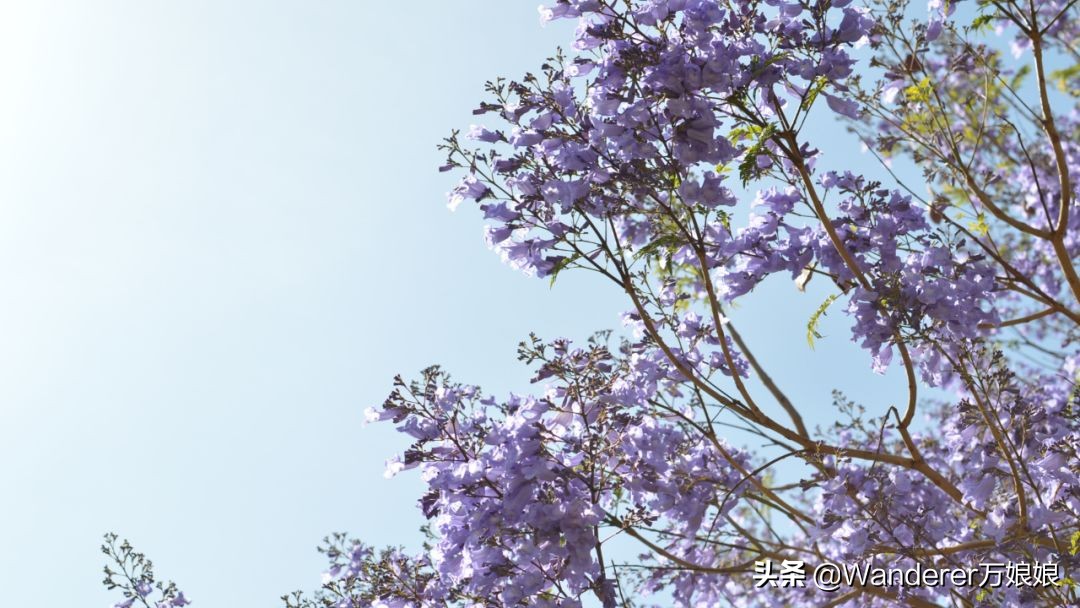 初中语文教师资格证面试如何备考,零基础初中教师资格证备考要多久