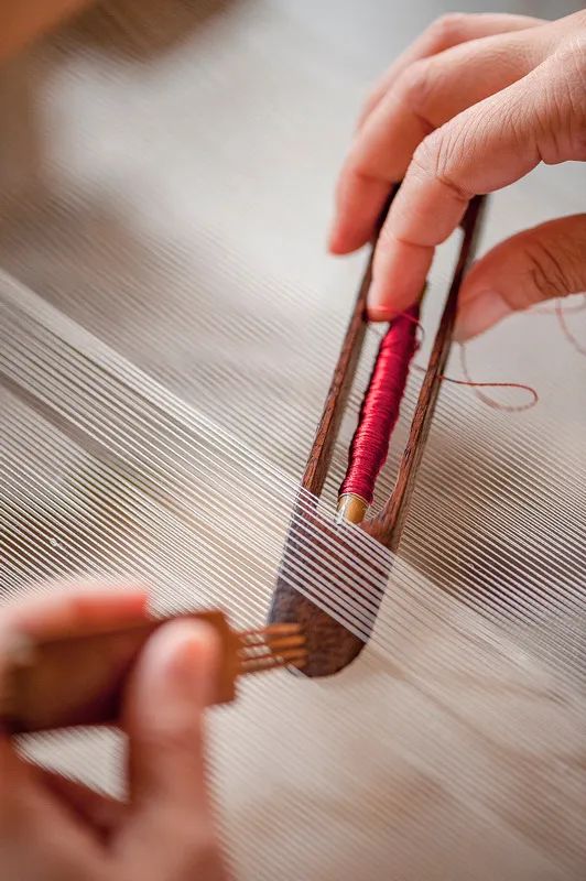 苏州精致生活,苏州人的精致都在一碗面里