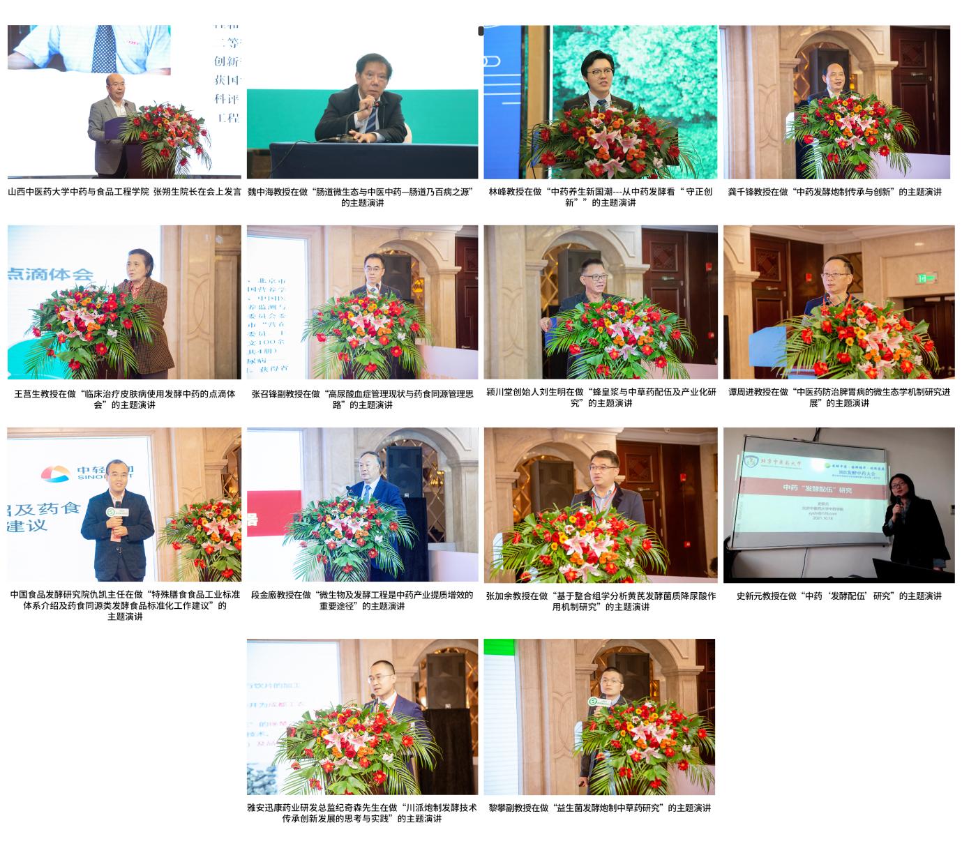 首届中医药传承创新大会,发酵中药现状