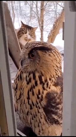 做梦很搞笑直接笑醒,做梦时突然醒来的方式搞笑