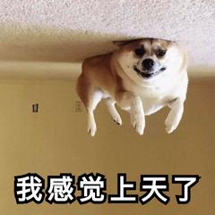 电脑识别图片二维码怎么操作,如何扫描识别图片