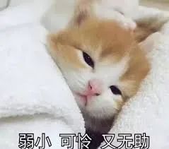 伯纳天纯猫粮有假的吗,伯纳天纯猫粮怎么辨别真假
