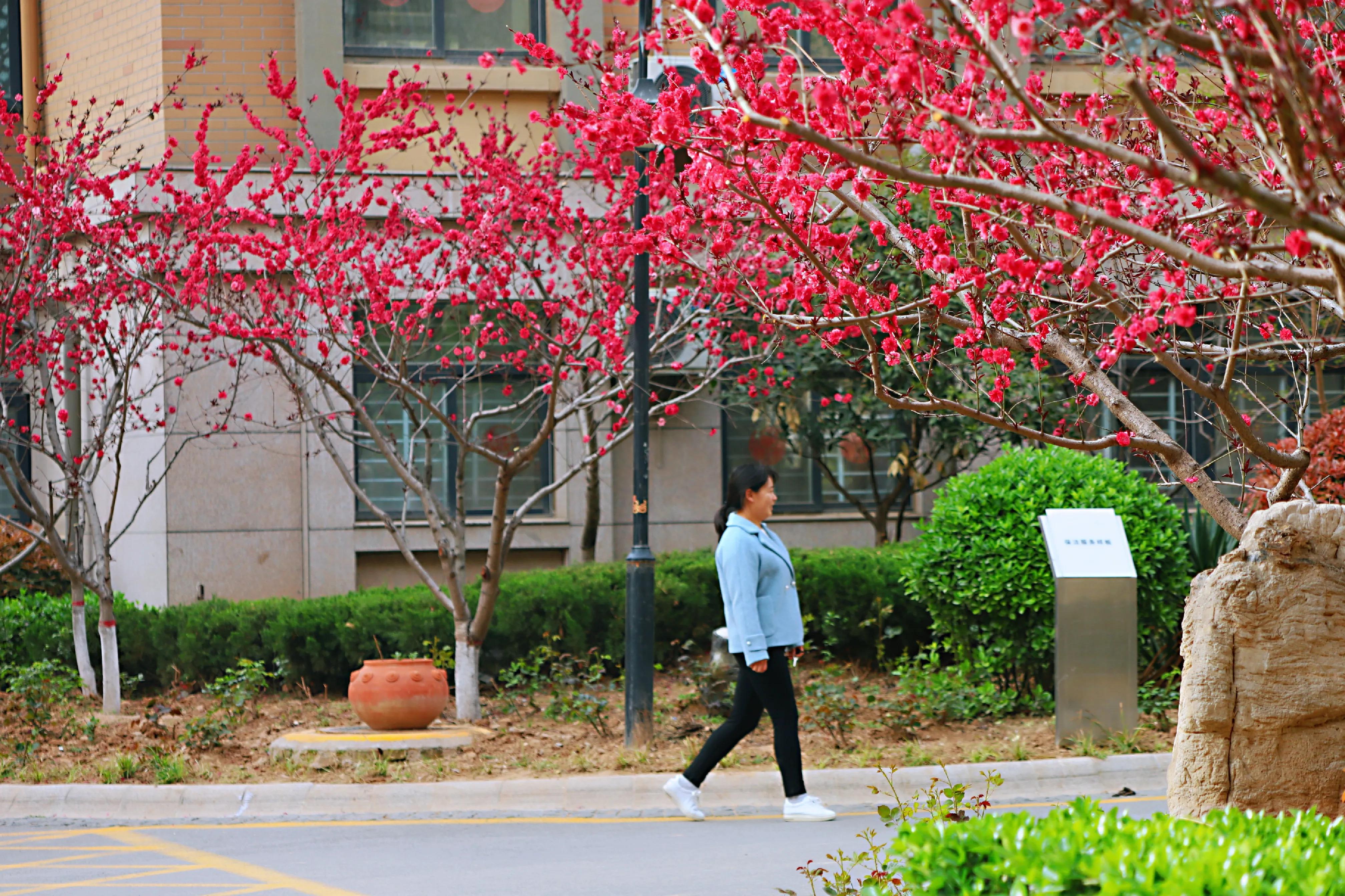 骏景花园116平米,骏景花园小区效果图