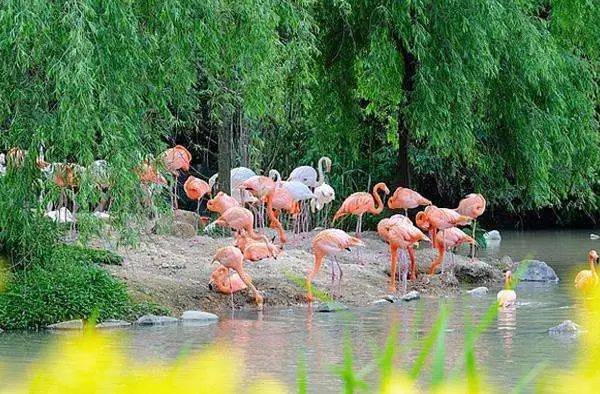 宁波新奢酒店,宁波新开一家度假酒店