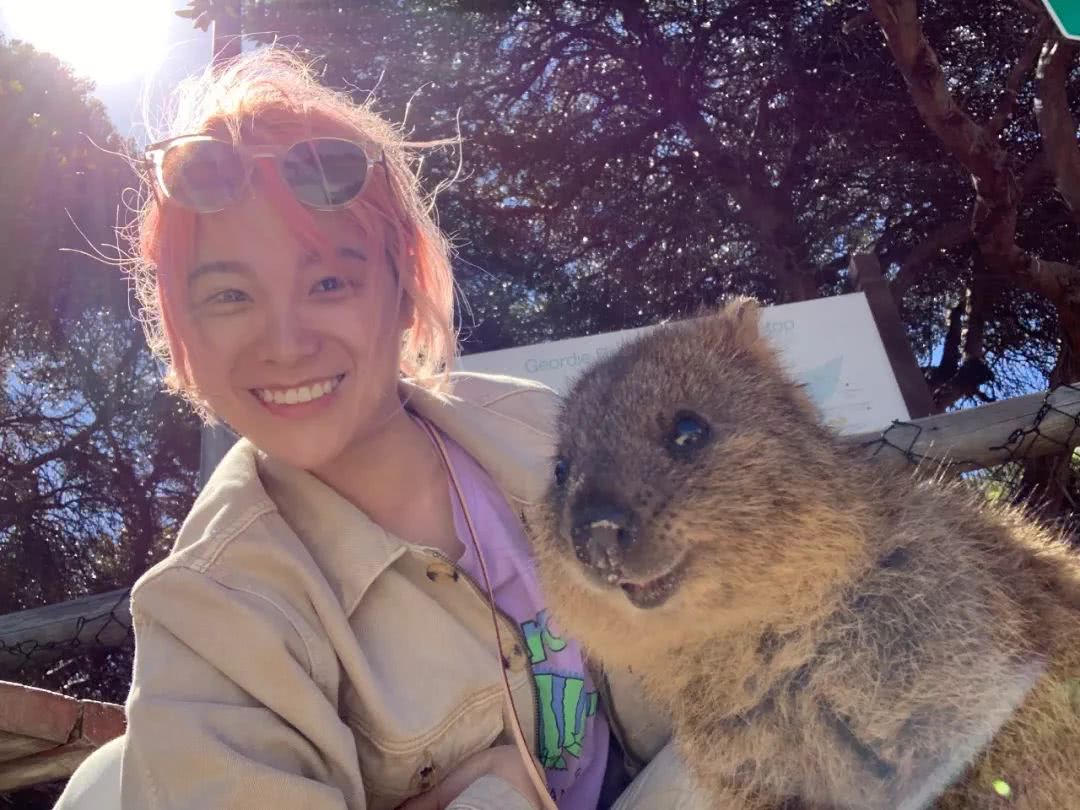 西澳大利亚珀斯有什么好玩的,西澳珀斯必去景点