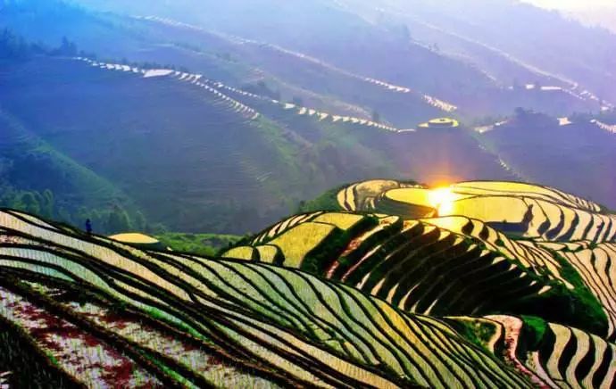 上海到洛杉矶直飞机票,上海直飞纽约机票