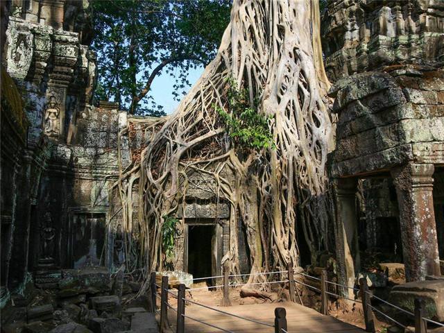 去柬埔寨好不好,去柬埔寨不进园区危险吗