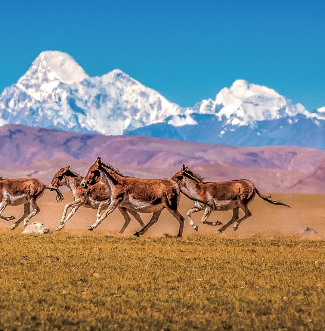 日喀则珠峰二日游,西藏日喀则旅游看珠峰