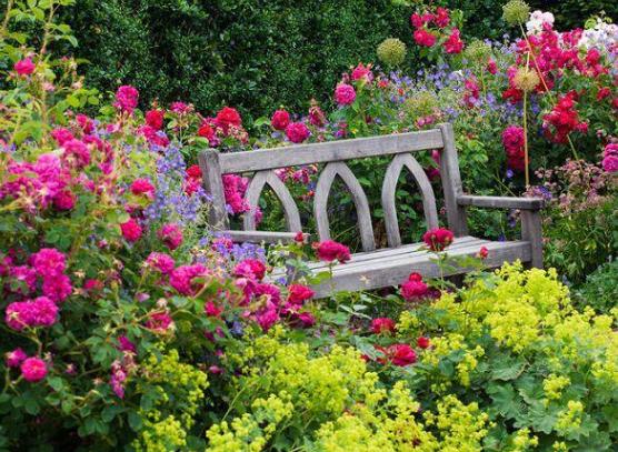 花盆有蚂蚁怎样消灭不伤植物,怎样防蚂蚁啃植物