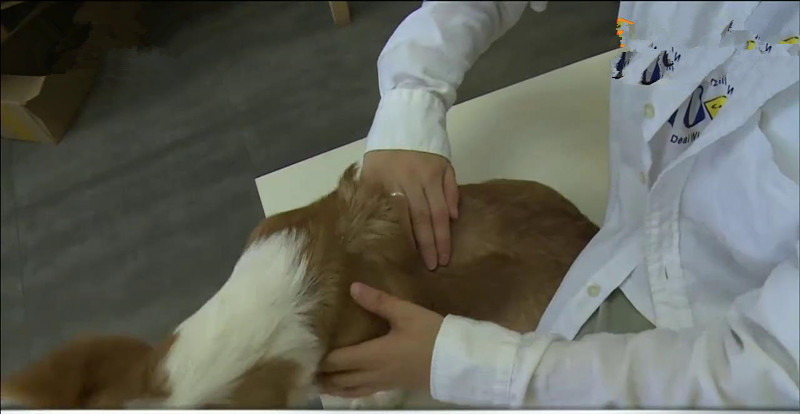 家庭除螨虫最好的神器,家里除螨虫最好的神器