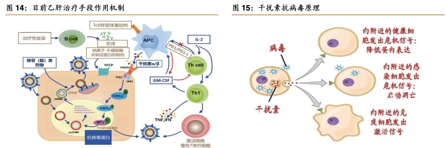 特宝生物公司,特宝生物公司最新消息