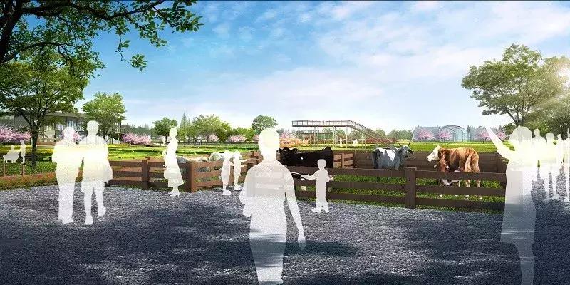 钱江新城球场,杭州钱江世纪城开建600米地标建筑