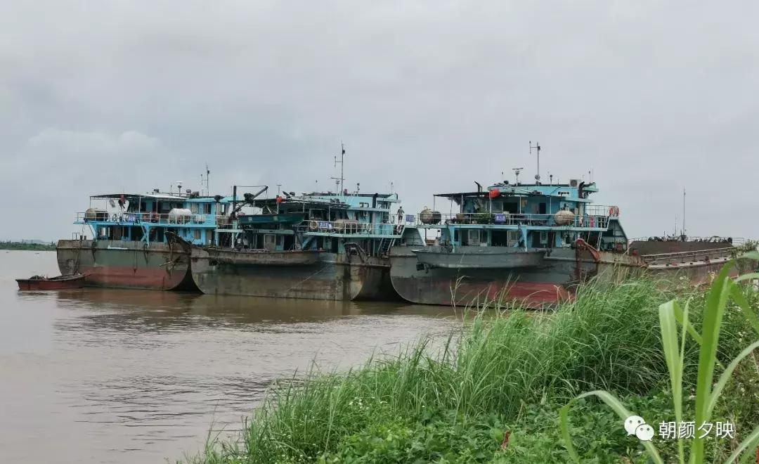 江门新会石板沙攻略,广东江门石板沙旅游景点