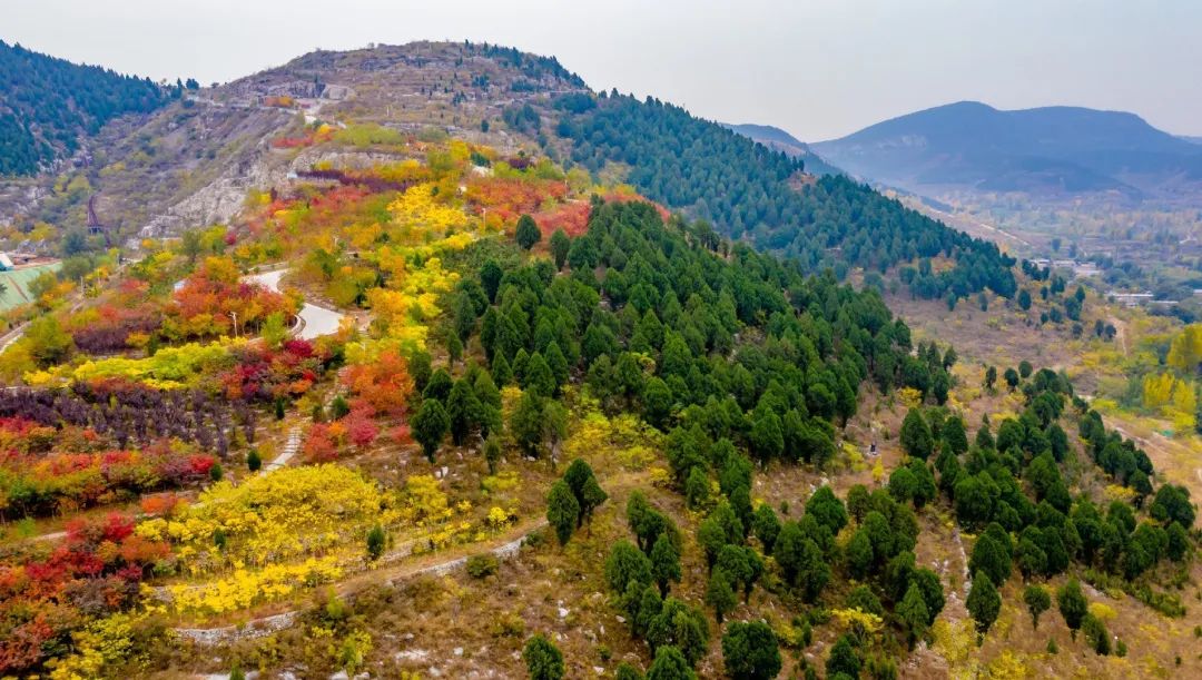 赏秋不远行就近赏秋景,赏秋何必去远方