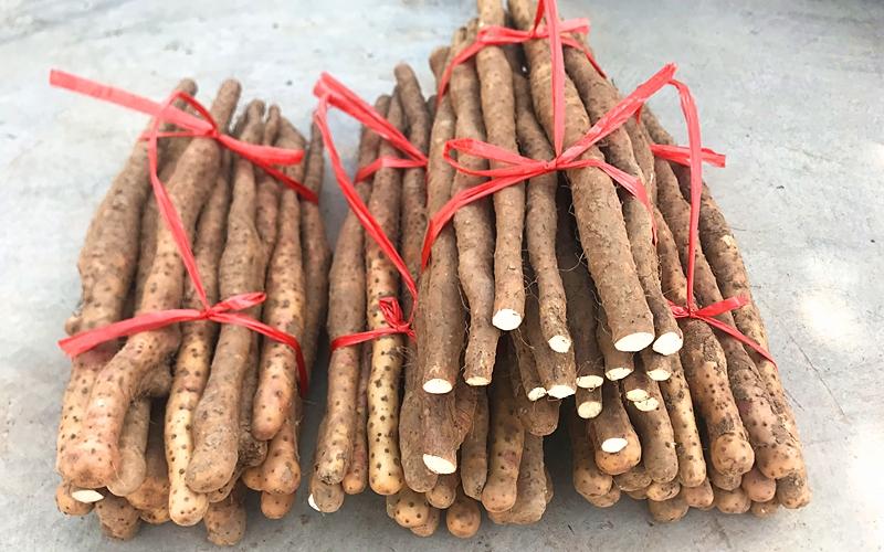 吃了那么多年山药，原来只是在吃菜，不懂山药真的买不到好山药