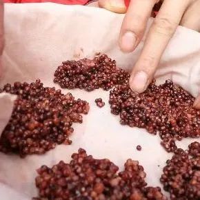 郎酒哪种酒值得收藏,贵州十大酱香名酒郎酒