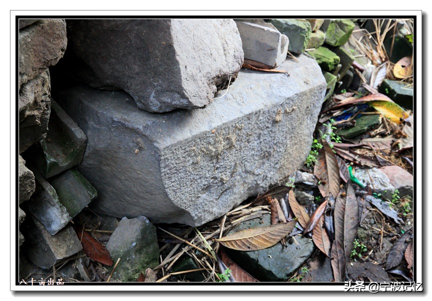 一门三部尚书,一门三尚书五世十进士