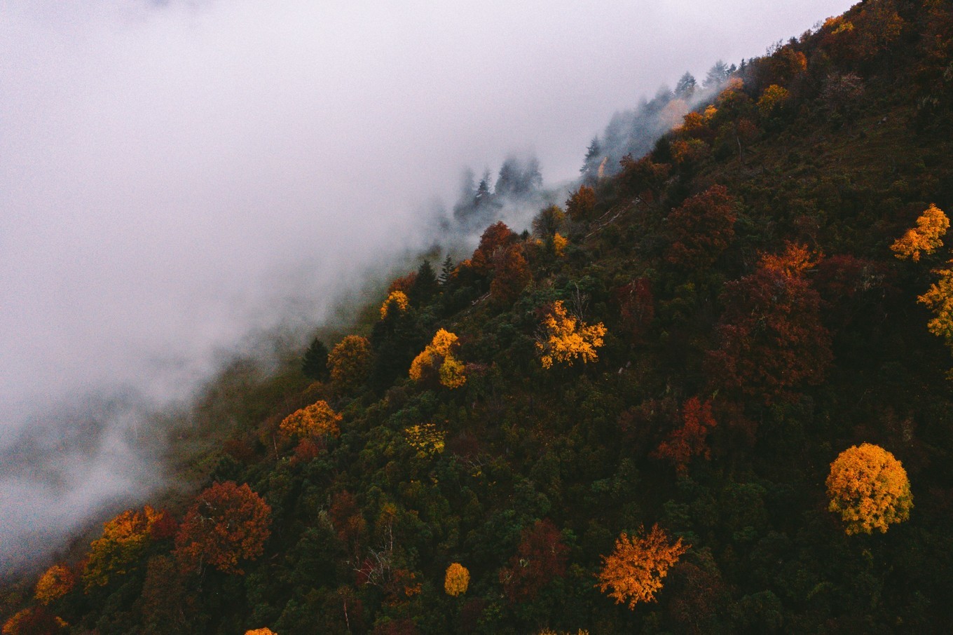 自驾云南滇藏,自驾滇西北旅游