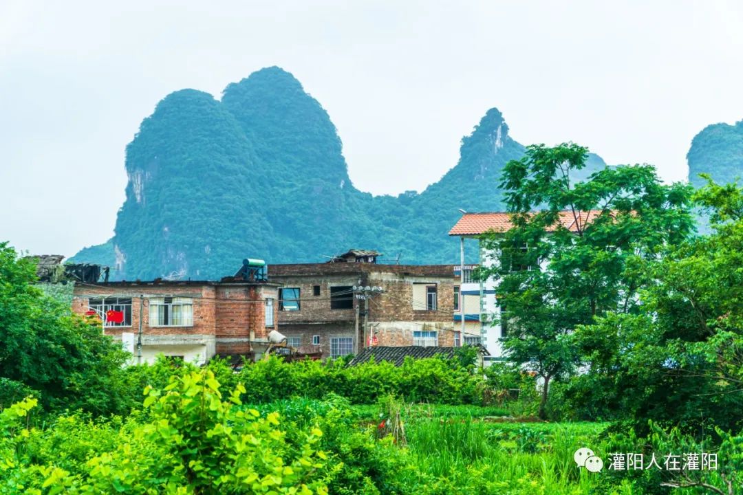 桂林周边村寨,桂林市乡野休闲山庄