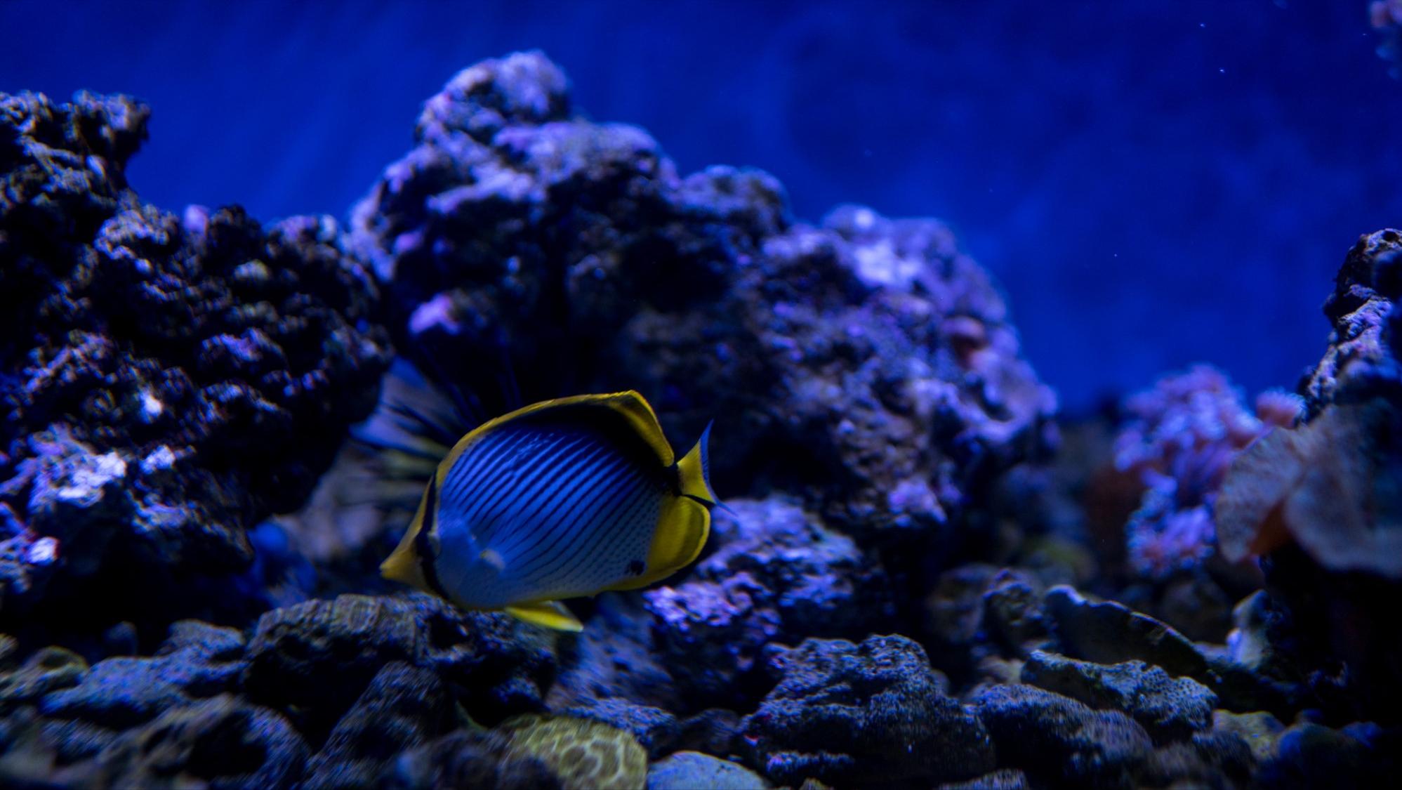 福州15万平方米的海洋世界，半小时带你打卡南北极，五一的好去处