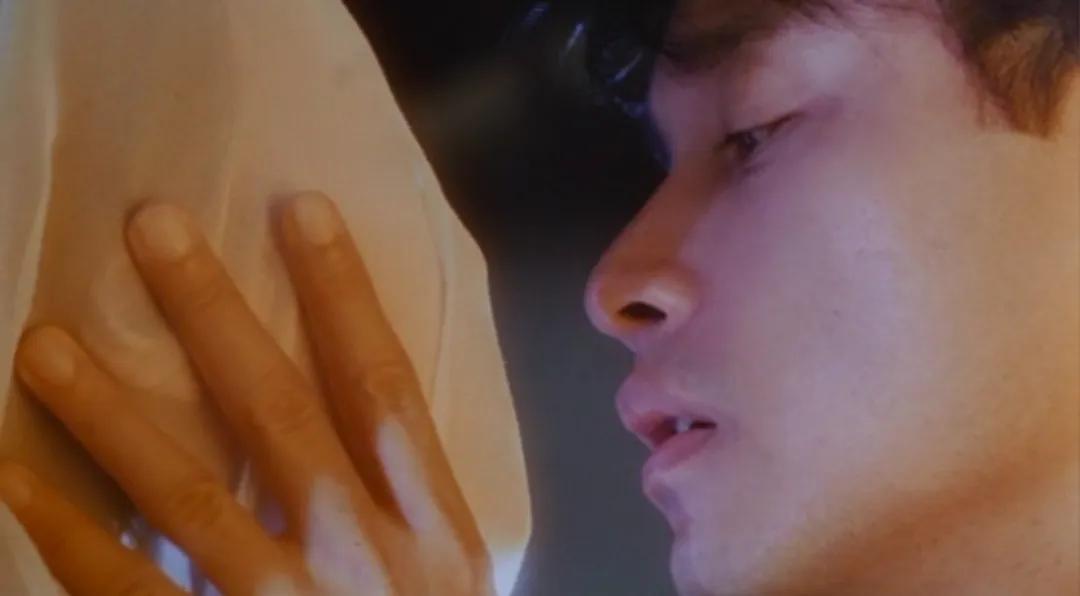 张国荣：作为自我性欲的明星