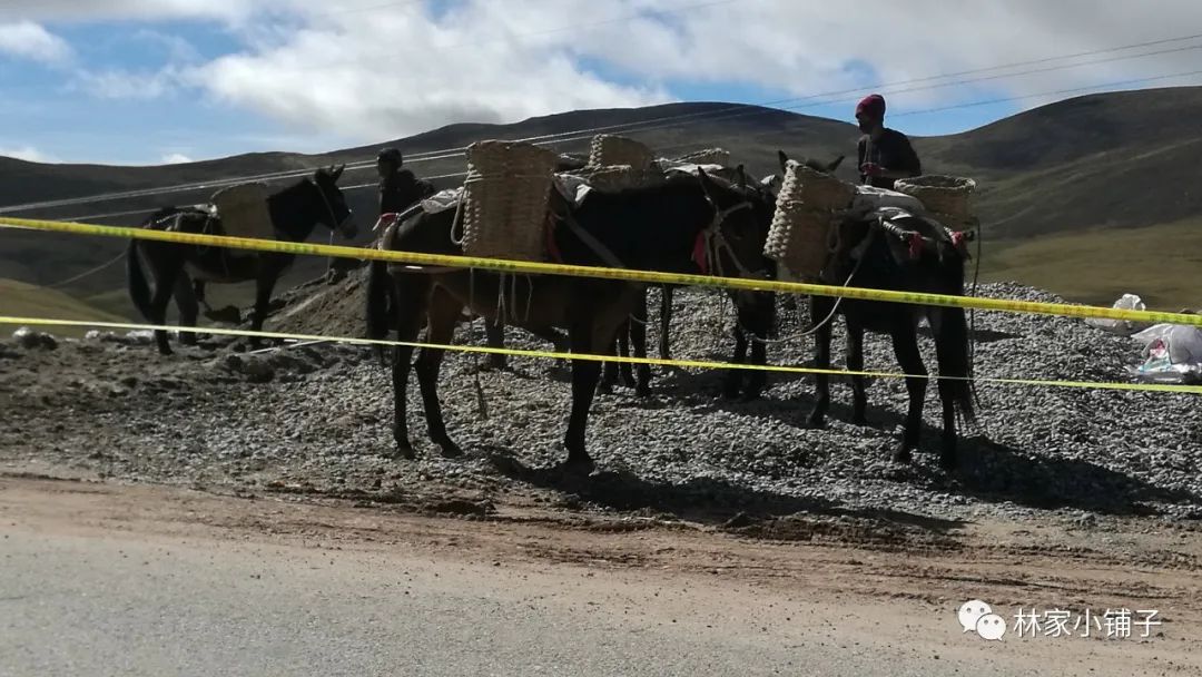 西藏滇藏骑行攻略,骑行滇藏丙察察线完整攻略