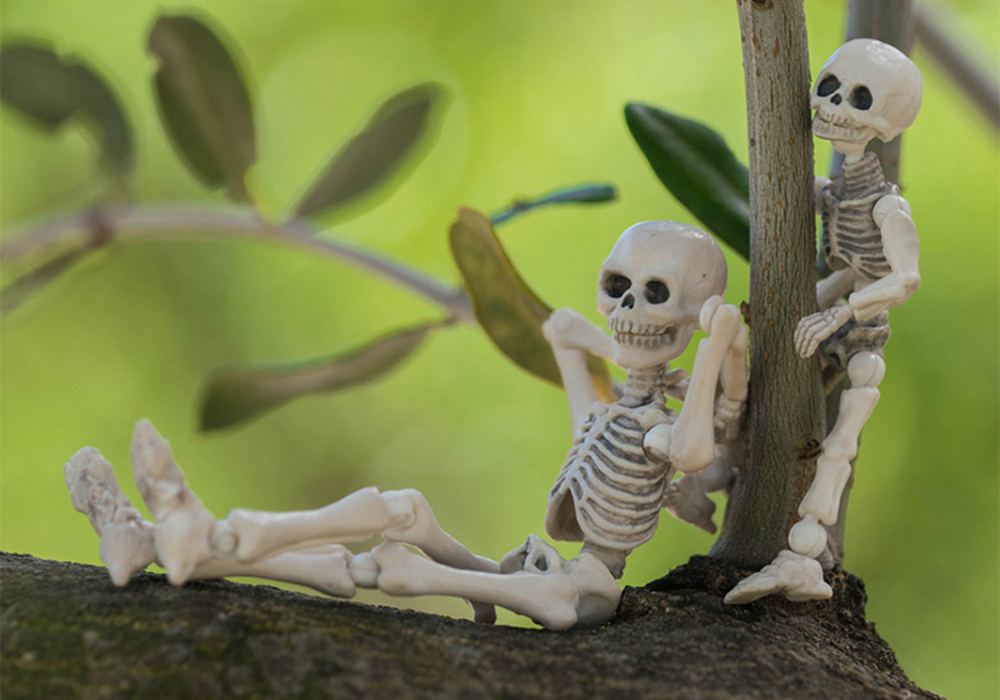 骷髅人体模型玩具,骷髅玩具真实版