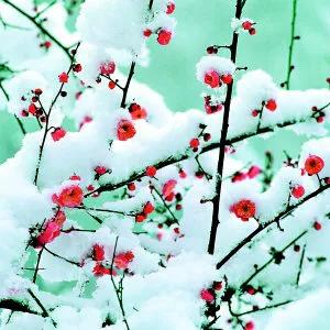 平凡的世界读书感悟分享心得体会,平凡的世界第一部第二章笔记