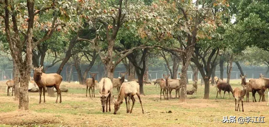 西安白鹿原滑雪场门票价格,西安高新区哪里有室内滑雪场