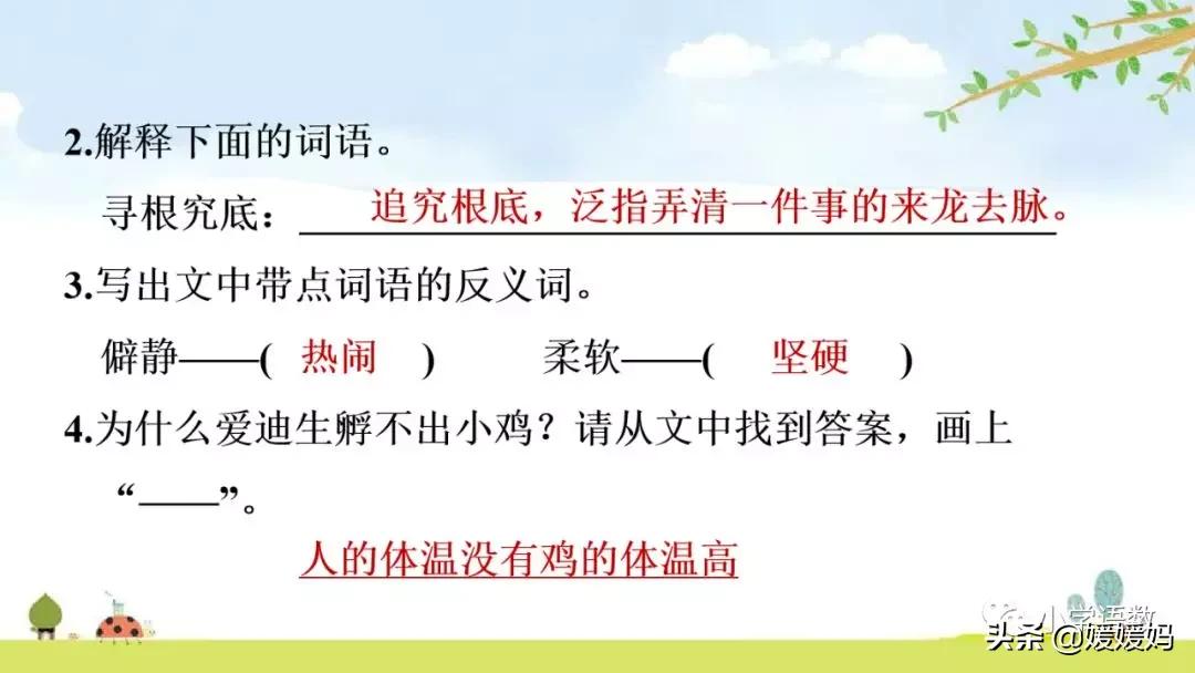 六年级下册语文表里的生物朗诵,六年级下册表里的生物小练笔400字