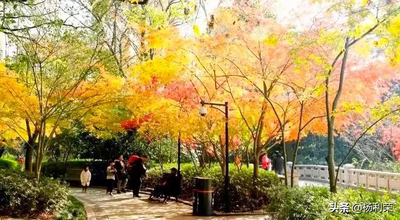 长江三峡李白的七绝,长江三峡行七绝