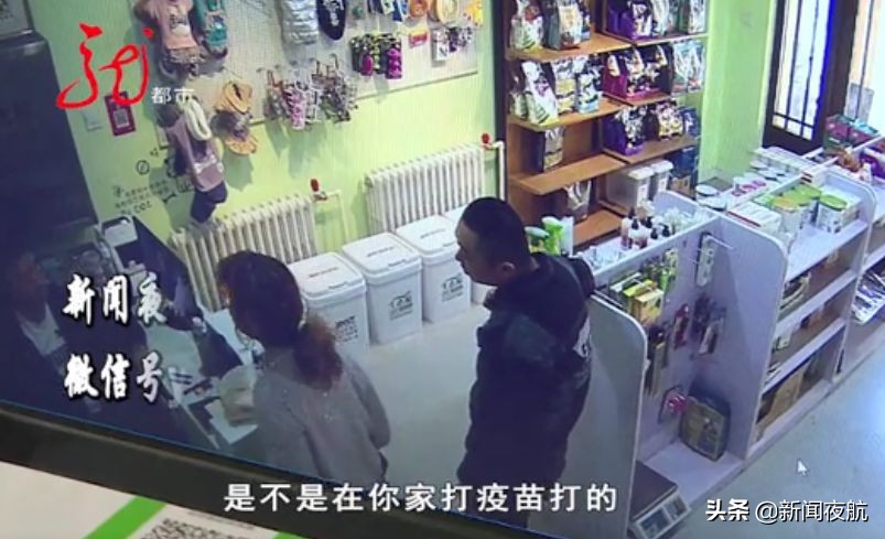 这俩人带宠物狗到处打疫苗，打完疫苗狗就死亡！咋回事？哈尔滨多家宠物店都见过他们