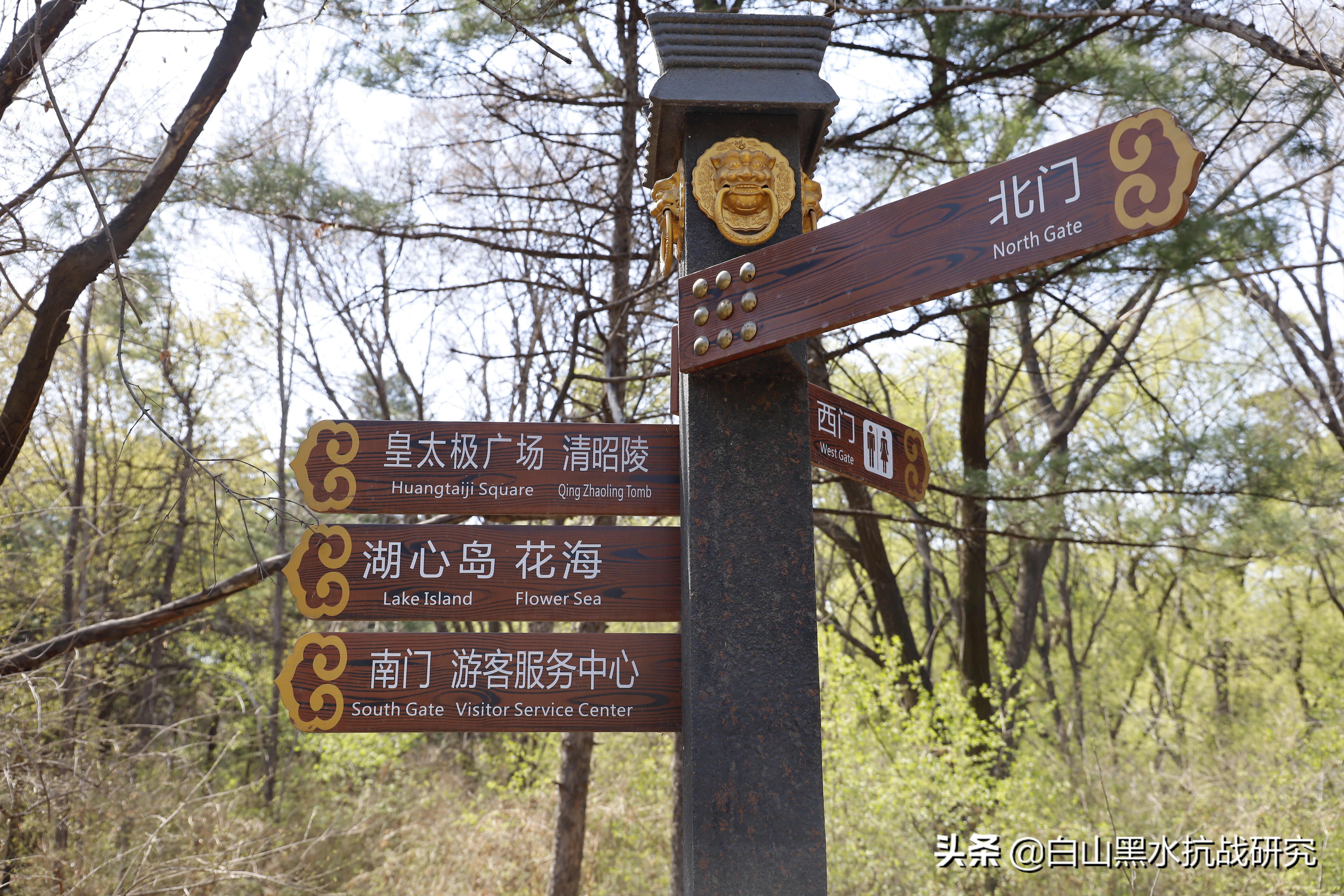 为什么我买的佳能r8只有4k50帧,佳能eosrp全画幅微单