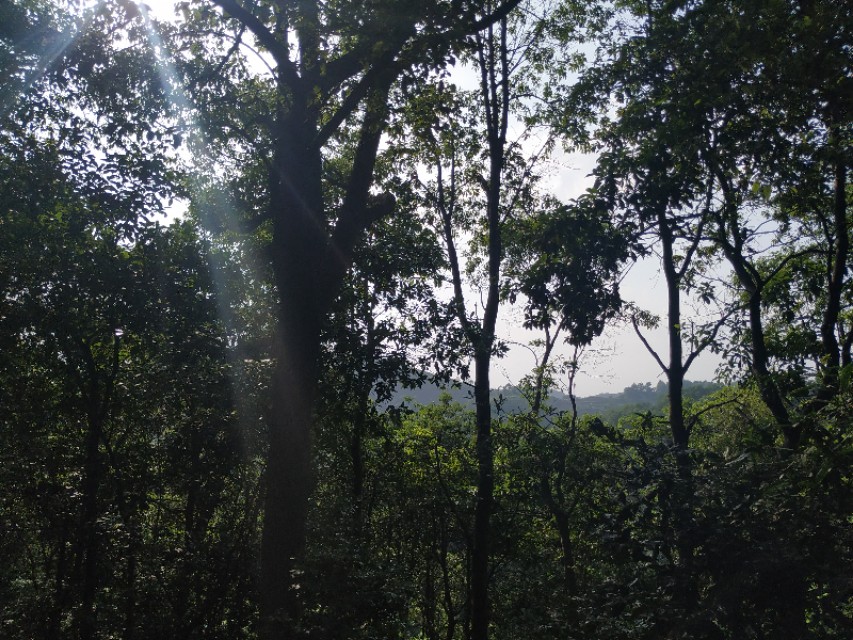 杭州西湖茶山游玩攻略,杭州西湖边游玩