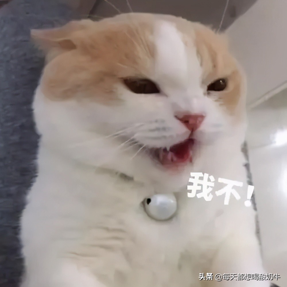 适合夏天的爽肤水推荐,适合夏季平价好用的爽肤水