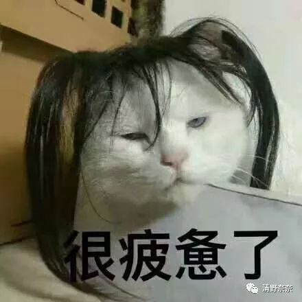 双11买什么化妆品好用,双11美妆大牌有什么优惠