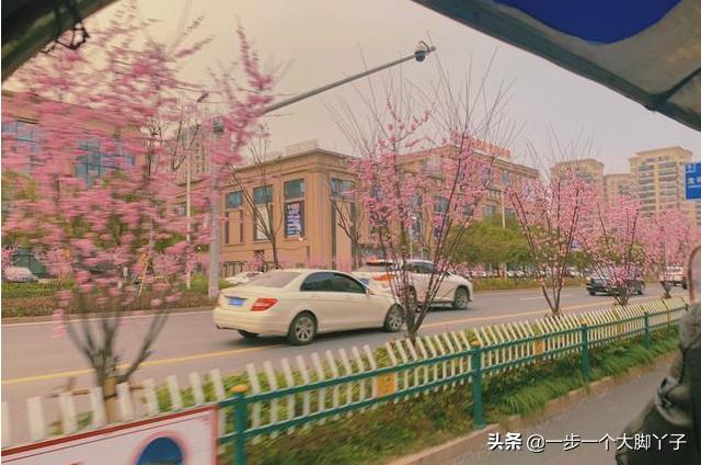 滴滴一个月大概可以挣多少钱,滴滴专车司机一天8小时一月收入