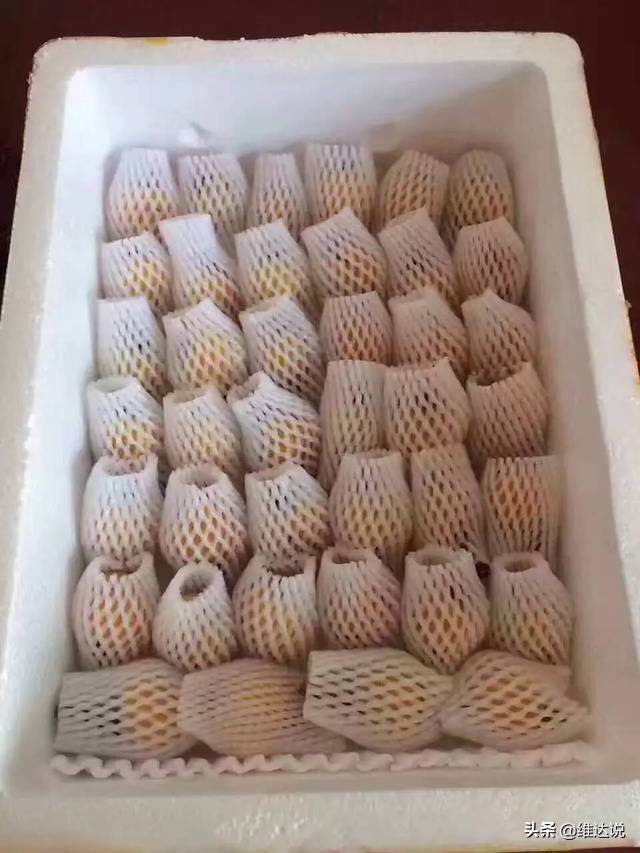 跨越万水千山寄来枇杷，止咳化痰事小，友谊地久天长事大