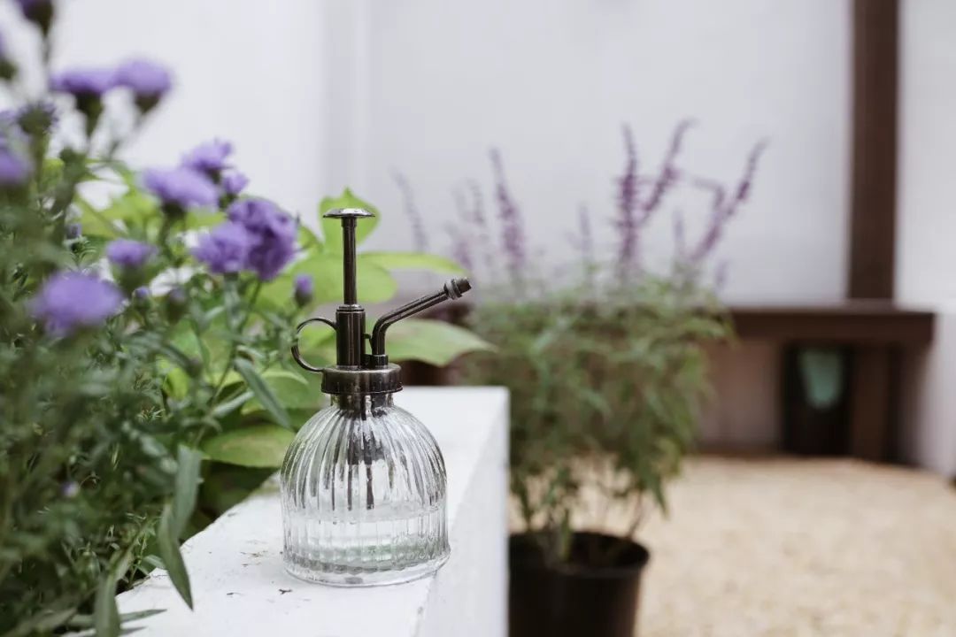 上海二手房学区房,2024年上海二手学区房