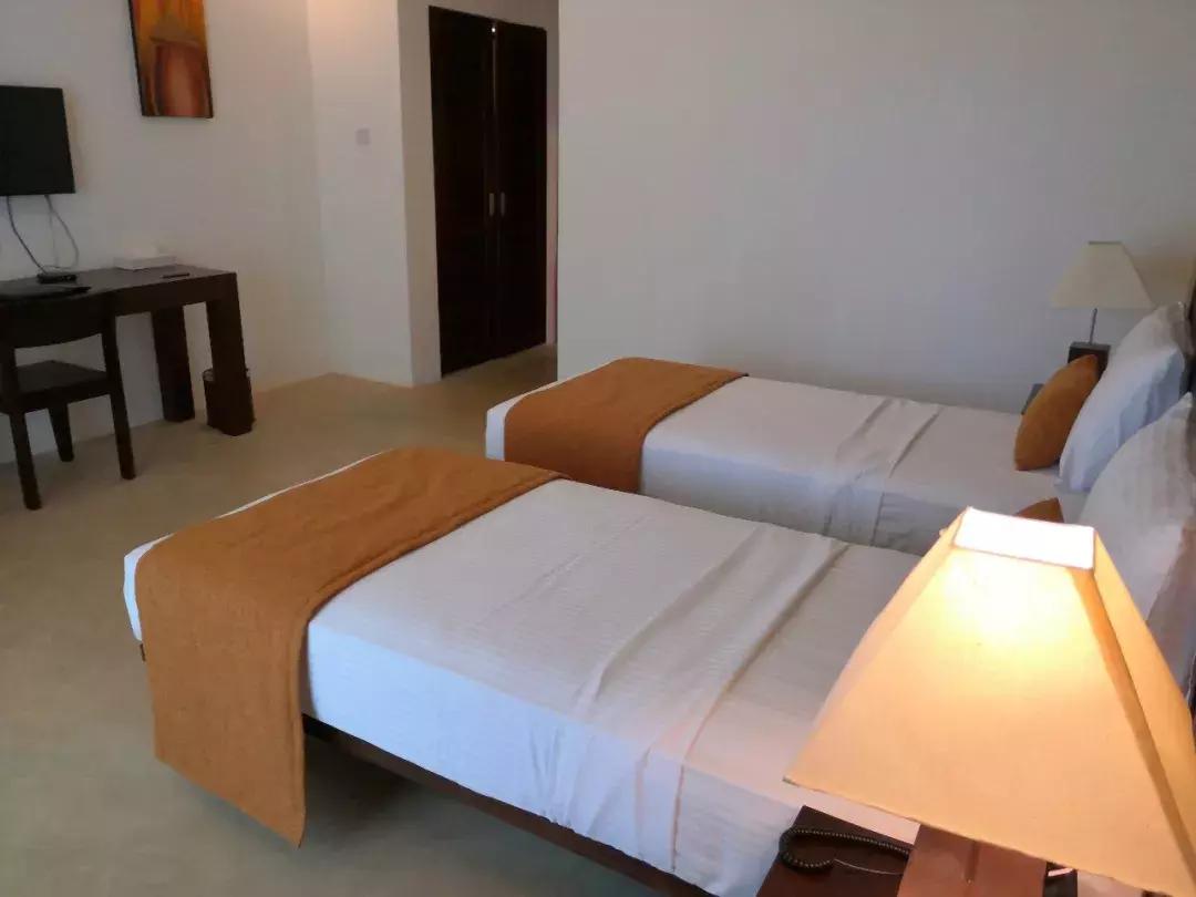 一生必去一次的神奇国度，榴莲白菜价，还有千与千寻里的海上火车