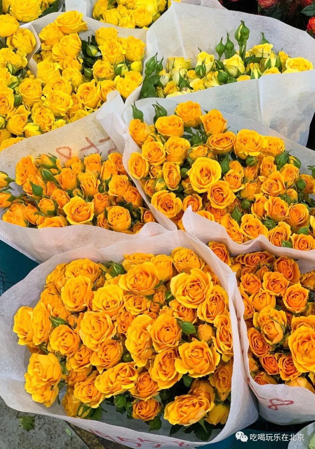 北京崇文区西花市大街,北京通州花市在哪里