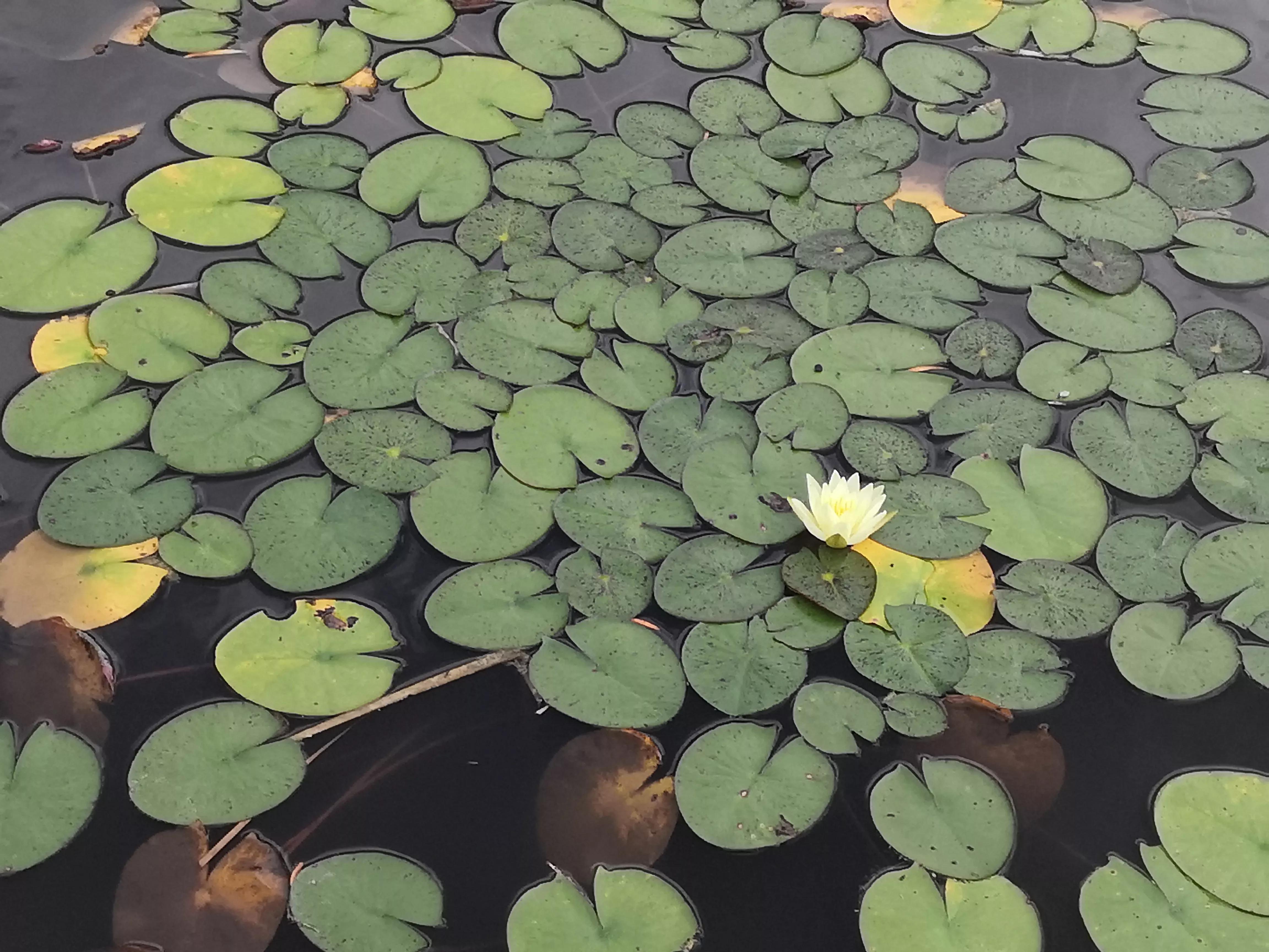 选璟管业,选墅设计