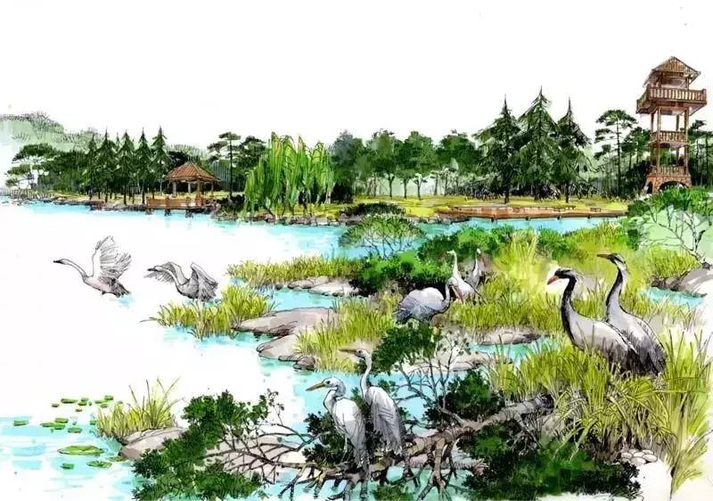 干货马克笔使用终极技巧,马克笔干货教学