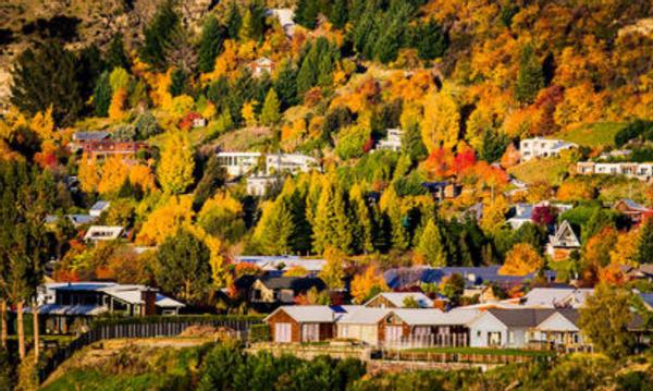 新西兰一小镇挂牌出售，364万平仅售5300万，租下来一天仅3.5万